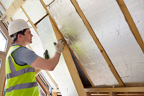 Professional Insulation Services in Zeigler, IL